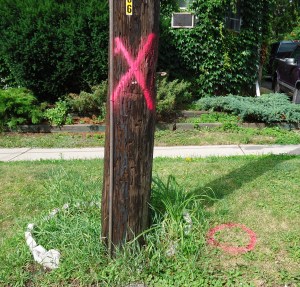 noughtsandcrosses (1)