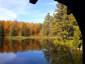 Here's a random picture, to throw off whoever's out to get me