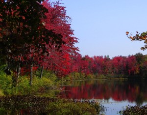 MINOLTA DIGITAL CAMERA