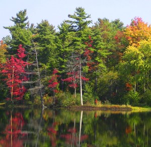 MINOLTA DIGITAL CAMERA