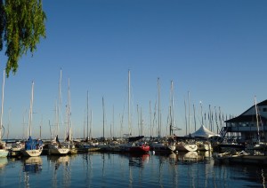 Kingston Harbour