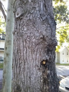 :(