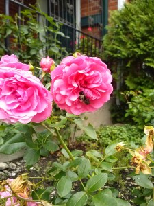 Let Sleeping Tunas Lie