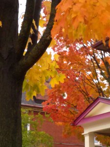 Summer dies with flare