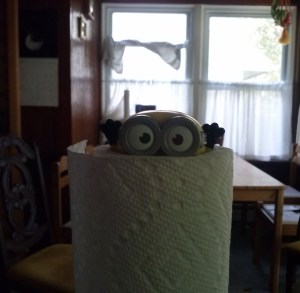 Minion stuck in a roll of paper towel