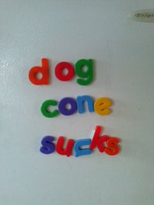 Woke up to a new message