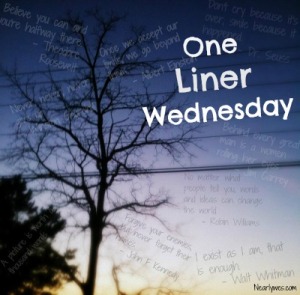 #1linerWeds badge by nearlywes.com