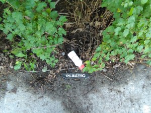 I swear I didn't touch it. I just took the picture.