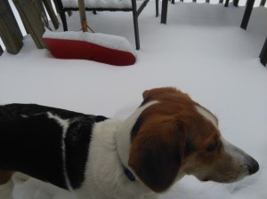 "To hell with this, I'm going back in."