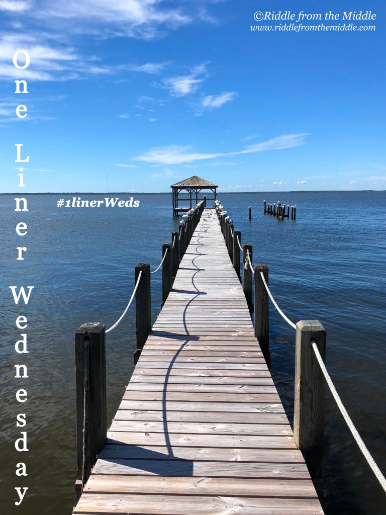 One-Liner Wednesday – Summer